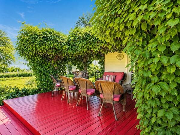 478 Rue Beach, Métis-sur-Mer — photo 44