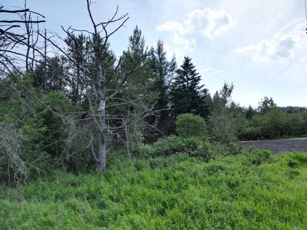Boul. Perron, Carleton-sur-Mer — photo 5