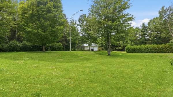 2012 Route Principale, Saint-Nérée-de-Bellechasse — photo 20