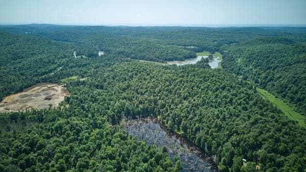Ch. des Hérons, Grenville-sur-la-Rouge — photo 11