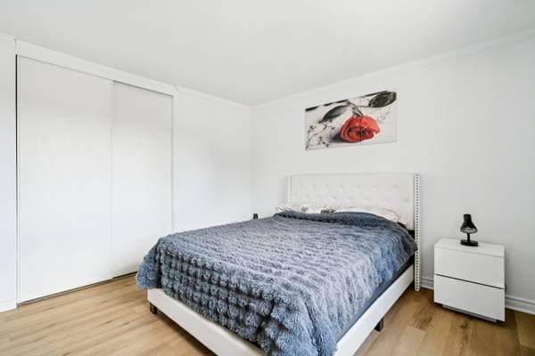 144 Rue Landry #202, Saint-Eustache — photo 10