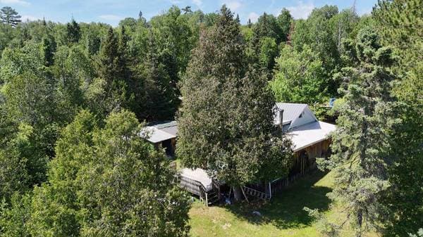 118 Ch. du Lac-des-Baies, Témiscaming — photo 4
