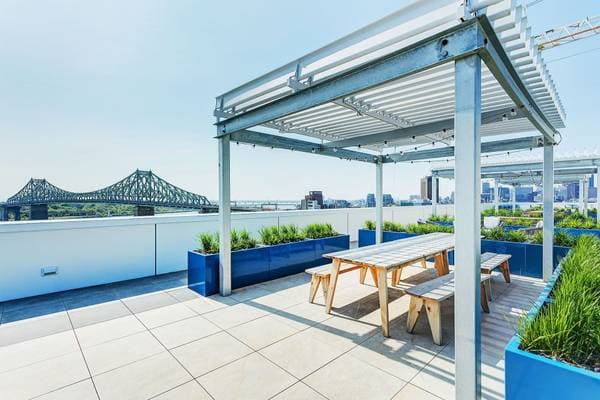 2120 Rue Ste-Catherine E. #1412, Montréal (Ville-Marie) — photo 39