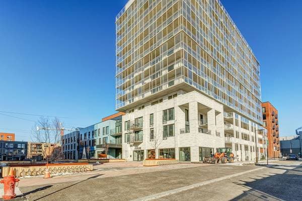 2120 Rue Ste-Catherine E. #1412, Montréal (Ville-Marie) — photo 59