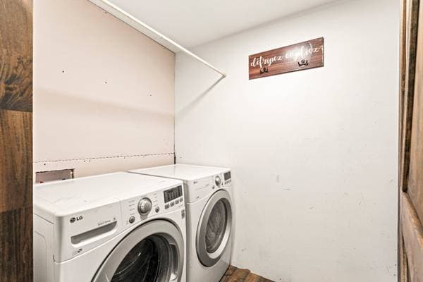 81Z Ch. Duplin, Dudswell — photo 15