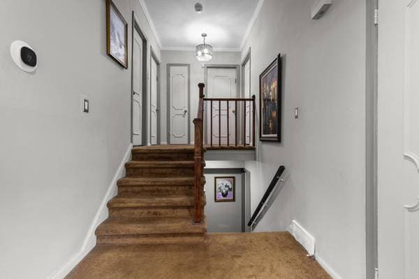 60 Rue Avondale, Dollard-des Ormeaux — photo 9
