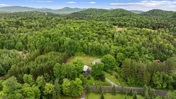 272 Mtée Desjardins, Lac-Supérieur — photo 50