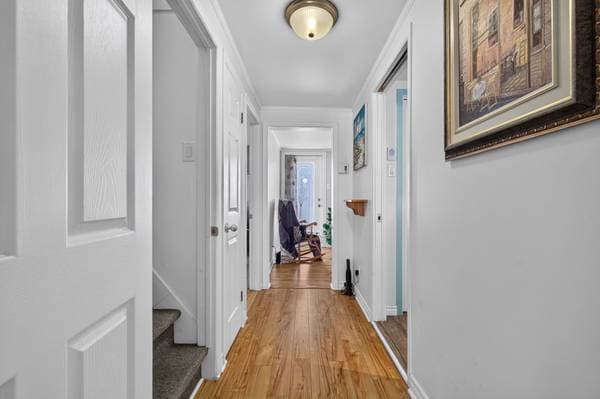 51 Rue St-Jacques, Saint-Jacques — photo 15