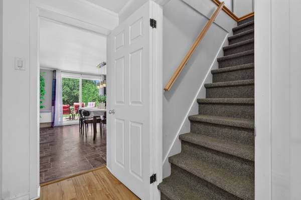51 Rue St-Jacques, Saint-Jacques — photo 16