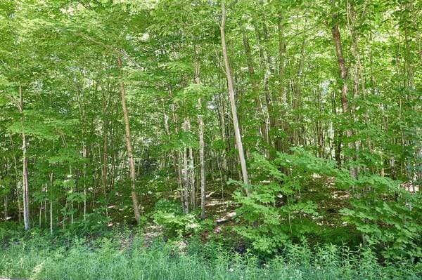 Ch. du Lac-Farmer, Wentworth-Nord — photo 5