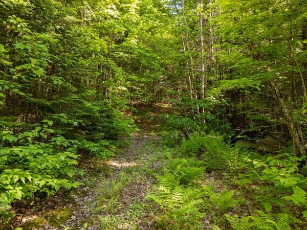 Mtée Manitonga, Lac-Supérieur — photo 3