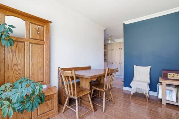 285 Rue Laurier #106, Gatineau (Hull) — photo 14