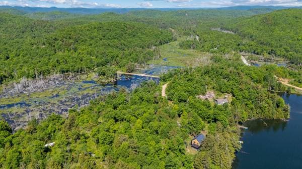 7 Ch. de la Héronnière, Grenville-sur-la-Rouge — photo 40