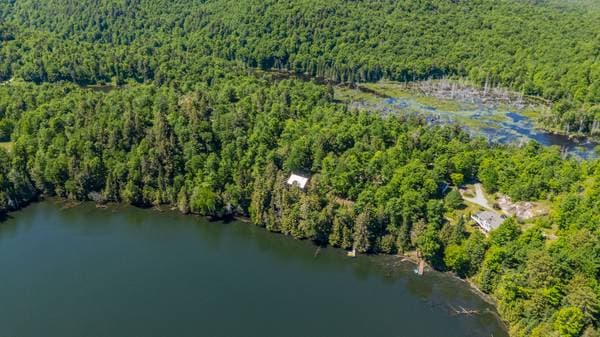 7 Ch. de la Héronnière, Grenville-sur-la-Rouge — photo 41