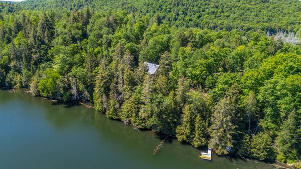 7 Ch. de la Héronnière, Grenville-sur-la-Rouge — photo 42
