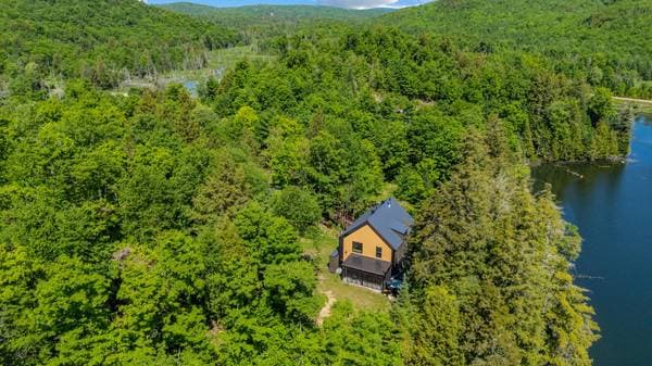 7 Ch. de la Héronnière, Grenville-sur-la-Rouge — photo 43