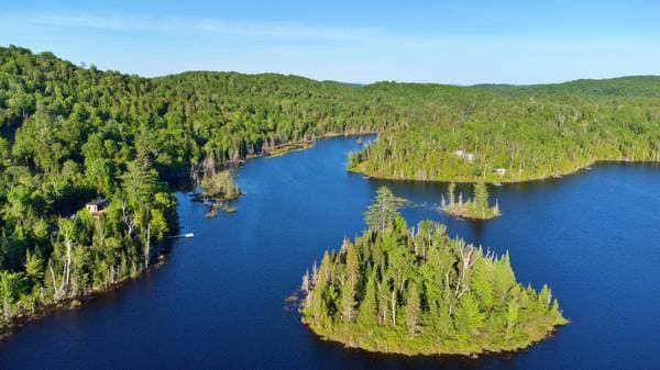 Lac Fidèle, Entrelacs — photo 11