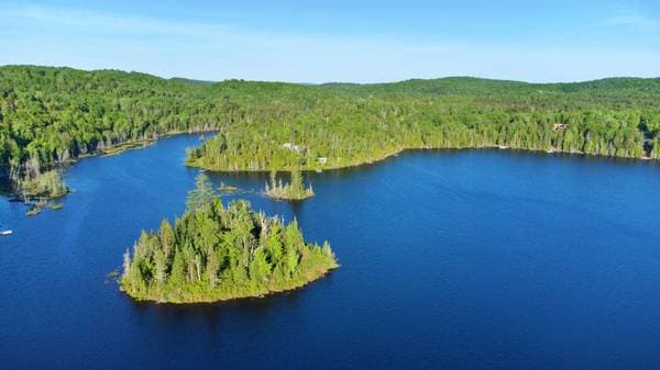 Lac Fidèle, Entrelacs — photo 12