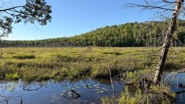 Lac Fidèle, Entrelacs — photo 14
