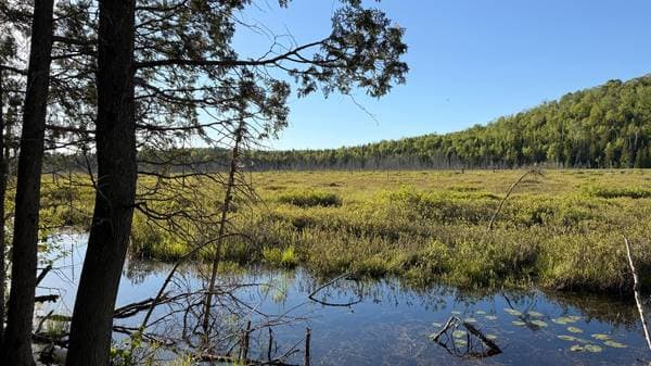 Lac Fidèle, Entrelacs — photo 15