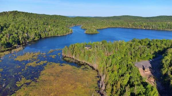 Lac Fidèle, Entrelacs — photo 23
