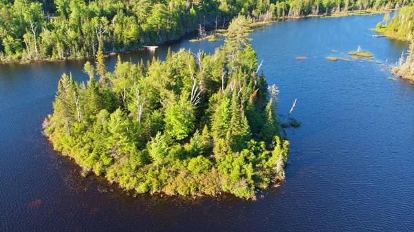 Lac Fidèle, Entrelacs — photo 6