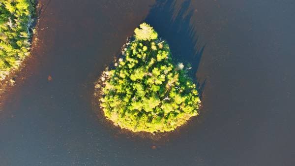 Lac Fidèle, Entrelacs — photo 7