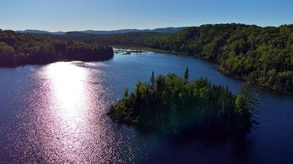 Lac Fidèle, Entrelacs — photo 9