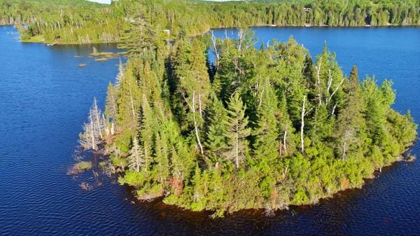 Lac Fidèle, Entrelacs — photo 10