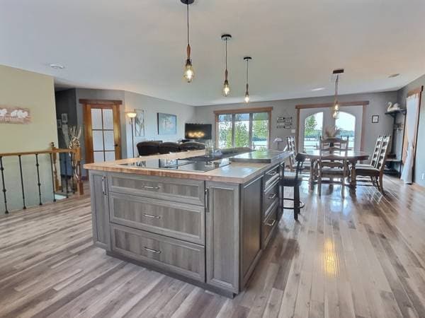 45 Ch. de la Pointe-aux-Cèdres, Kipawa — photo 9
