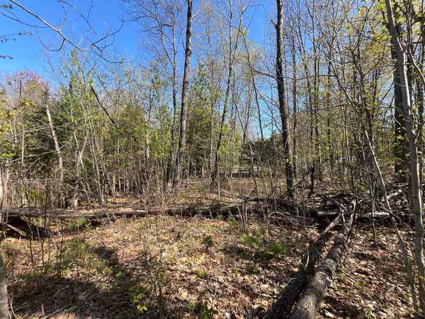 Rg Double, Saint-Lin/Laurentides — photo 4