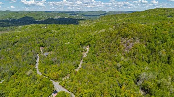 570 Ch. de Mont-Rolland, Saint-Hippolyte — photo 43