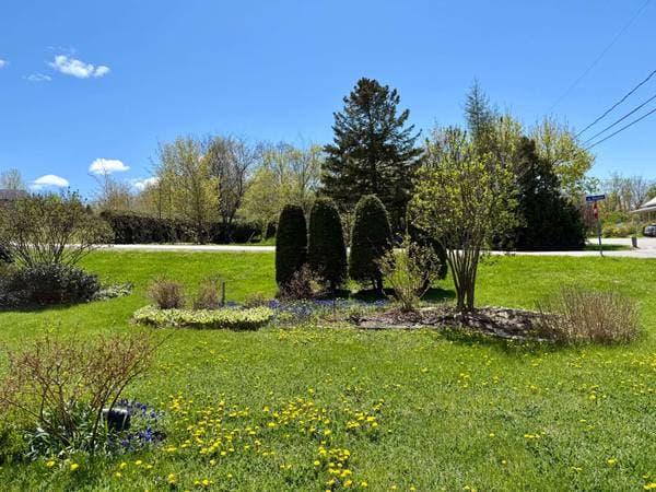 110 Rue Chamberland, Sainte-Anne-de-la-Pocatière — photo 15