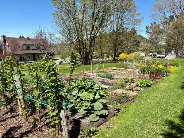 110 Rue Chamberland, Sainte-Anne-de-la-Pocatière — photo 18