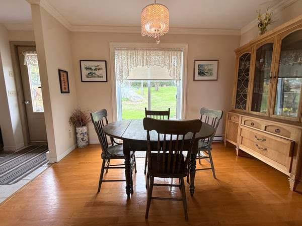 110 Rue Chamberland, Sainte-Anne-de-la-Pocatière — photo 24