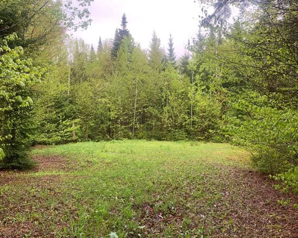 50 Ch. Josée, Notre-Dame-des-Bois — photo 1