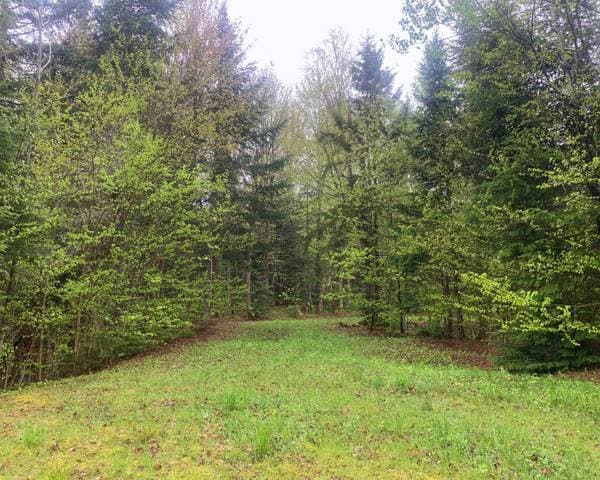 50 Ch. Josée, Notre-Dame-des-Bois — photo 4