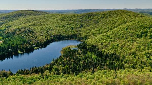 Ch. du Lac-Boileau, Lac-Supérieur — photo 1
