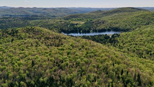 Ch. du Lac-Boileau, Lac-Supérieur — photo 2