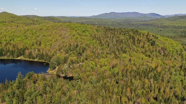 Ch. du Lac-Boileau, Lac-Supérieur — photo 9