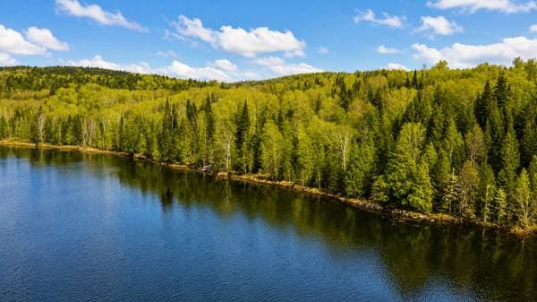 4 Ch. du Bord-du-Lac #23, Saint-Roch-de-Mékinac — photo 1