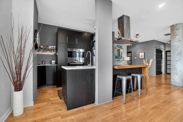 2250 Av. Papineau #202, Montréal (Ville-Marie) — photo 10