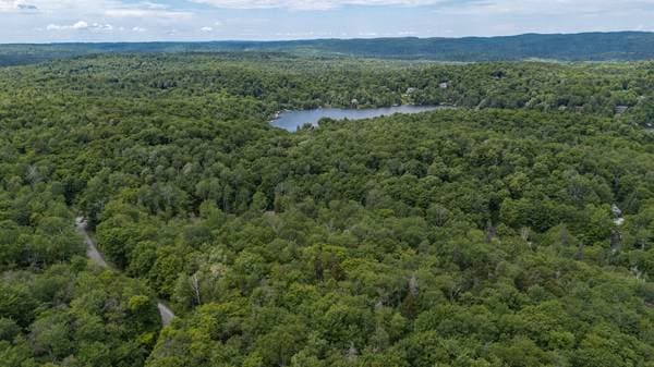 Ch. du Lac-des-Becs-Scie E., Saint-Sauveur — photo 5