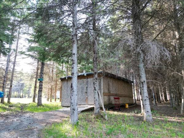 348 Route St-Louis, Carleton-sur-Mer — photo 43