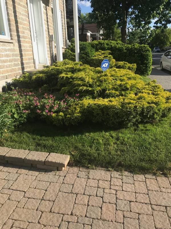 8700 Rue De Teck, Montréal (Mercier/Hochelaga-Maisonneuve) — photo 31