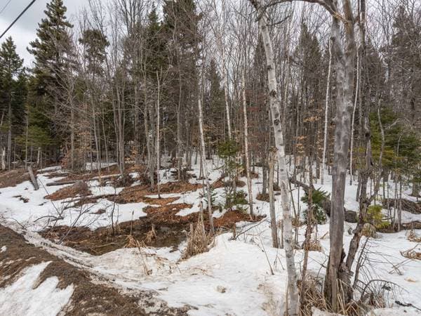 Ch. des Hauteurs, Morin-Heights — photo 4