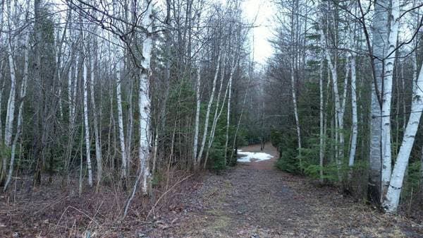 610 Ch. Beaulac, Barnston-Ouest — photo 20