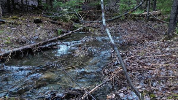 610 Ch. Beaulac, Barnston-Ouest — photo 22