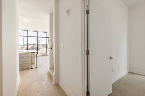 505 Rue de l'Escale #127, Brossard — photo 3