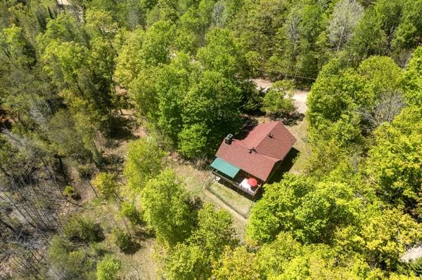 42 Crois. du Ruisseau, La Pêche — photo 91